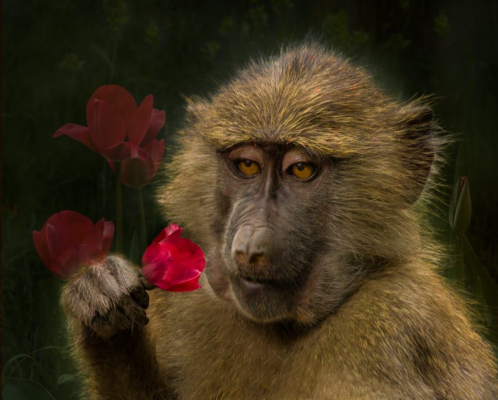 Mouthful - Judy Lanier